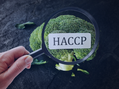 Igiene degli alimenti (HACCP - Sicurezza Alimentare) Igiene degli alimenti (HACCP - Sicurezza Alimentare)