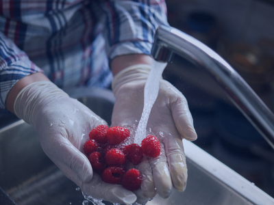 Elementi di igiene e sanificazione degli alimenti Elementi di igiene e sanificazione degli alimenti